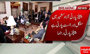 Asif Zardari