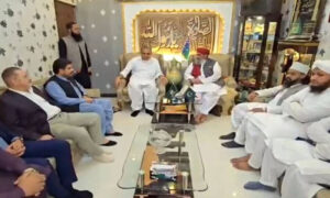 مدارس یا مساجد کی بندش کے حوالے سے پروپیگنڈا کیا جا رہا ہے، محسن نقوی