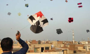 Basant Festival