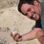 Dinosaur Egg