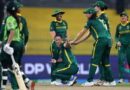 Cricket