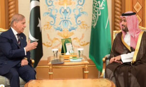 bin salman