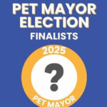 pet