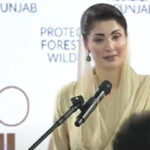 Maryam nawaz