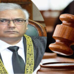 Official Website Launch