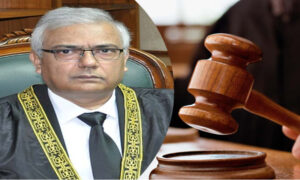 Official Website Launch