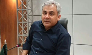 غیر قانونی امیگریشن ہرگز برداشت نہیں کی جائے گی، وزیر داخلہ