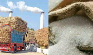 Sugar Mills