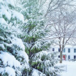 ٹورنٹو میں برفباری کا 54 سالہ ریکارڈ ٹوٹ گیا