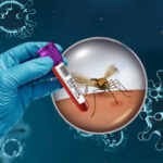 ڈینگی کے مریضوں کی تعداد میں خطرناک اضافہ