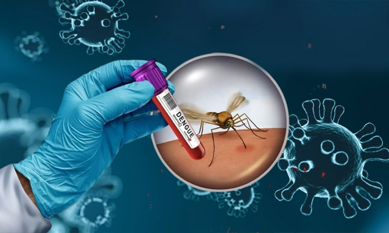 ڈینگی کے مریضوں کی تعداد میں خطرناک اضافہ