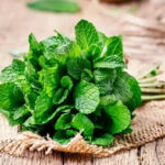 پودینے کے پتوں کے حیران کن طبی فوائد