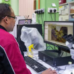 خون چوسنے والے کیڑے اب جرائم حل کریں گے