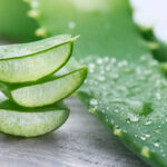 ایلو ویرا کے جلد اور صحت پر پڑنے والے حیرت انگیز فوائد
