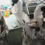 ننھی بچی کی معصومانہ حرکت نے ڈکیتی ناکام بنا دی