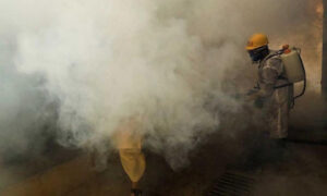 ڈینگی کیسز میں نمایاں کمی، انسداد مہم تیز