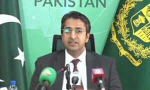 سزا یا فتہ قیدی کو سیاست کرنے کی اجازت نہیں دی جا سکتی، رانا احسان افضل