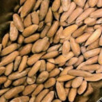 چلغوزے کی قیمتوں میں بڑی کمی ہو گئی