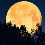 سال 2026 کا پہلا سپر مون کب نطر آئے گا؟