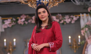 ندا یاسر نے فوڈ ڈیلیوری رائیڈرز سے معافی مانگ لی