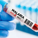 Malaria