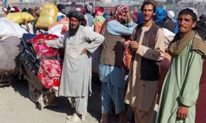 افغان باشندوں کی مجرمانہ سرگرمیاں، جرمنی اور ترکیہ نے ملک بدری کا عمل تیز کر دیا