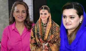 مریم اورنگزیب کے نئے انداز پر تنقید کرنے والوں کو بشریٰ انصاری کا کرارا جواب