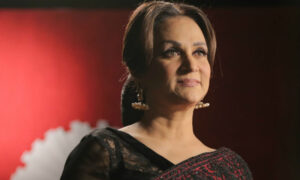 بھکاری میری جعلی آئی ڈیز استعمال کر رہے ہیں، بشری انصاری برس پڑیں