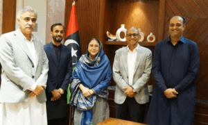 pakistn tahreek insaf